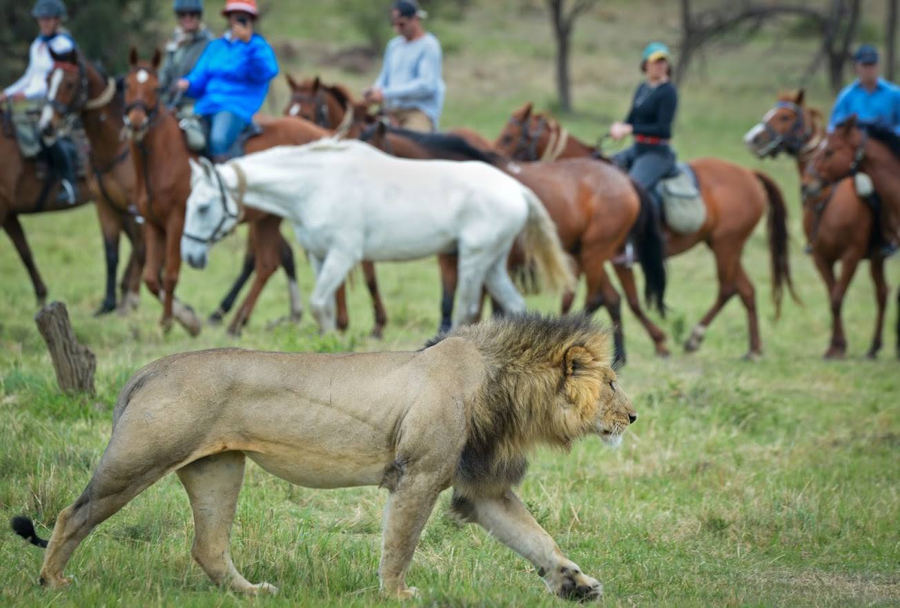 Safari a caballo en Masai Mara