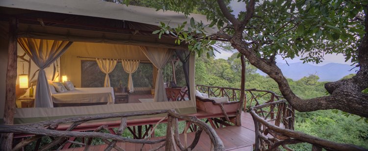 Namunyak Wildlife Conservancy