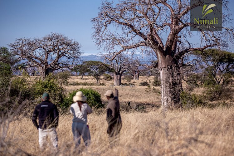 Imagen de viaje Viajes Latitud40