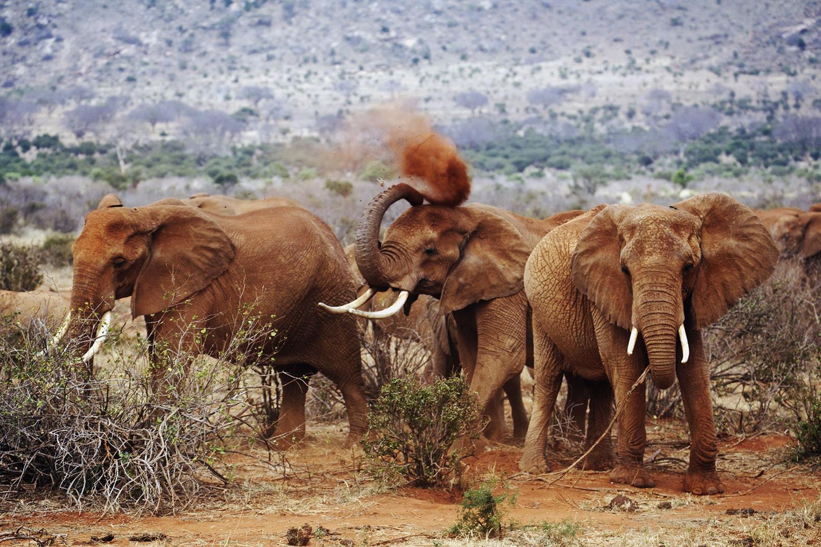 Tsavo West