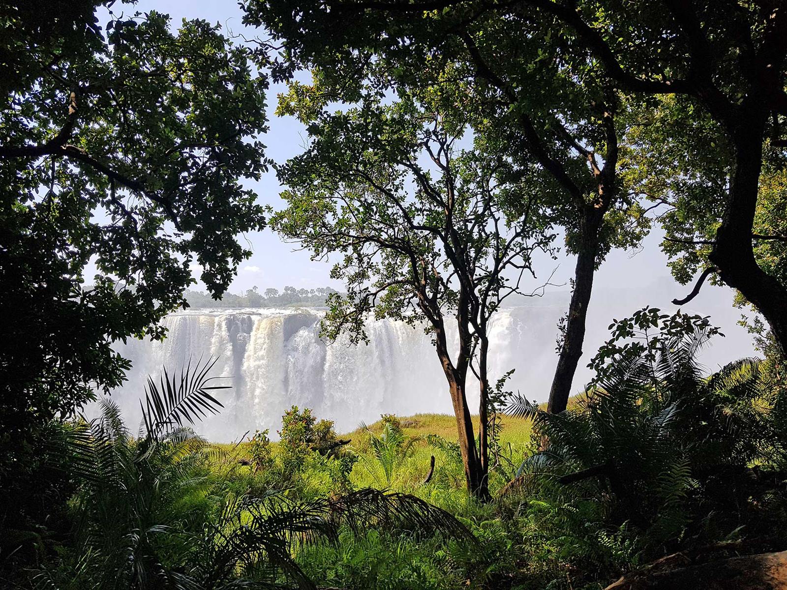 Tsowa Safari Island en Zambezi National Park