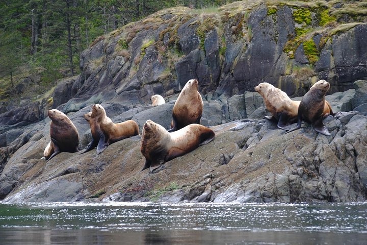 Sonora Island