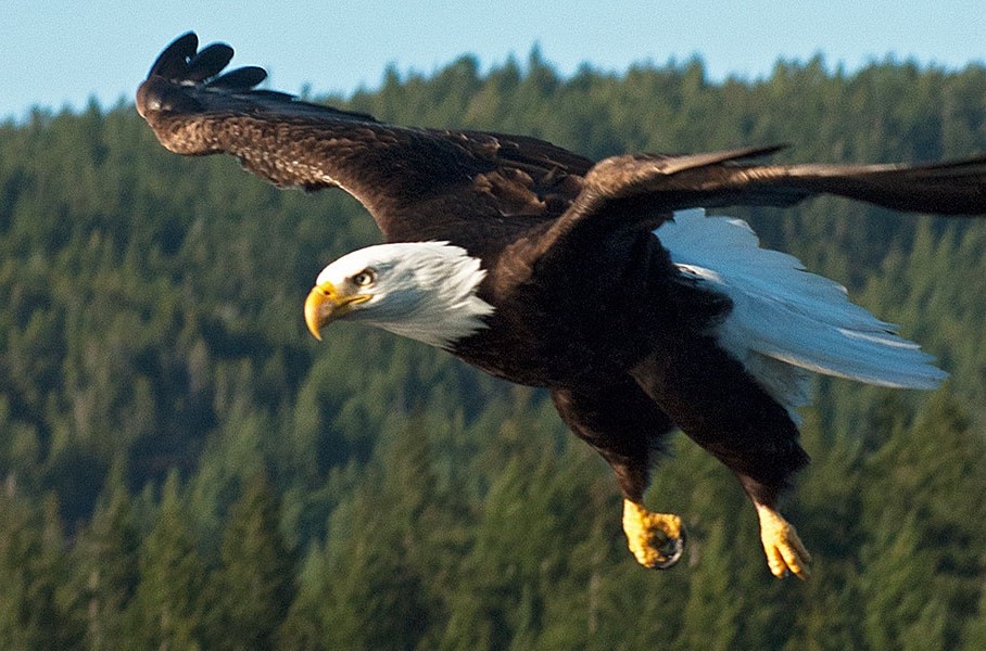 Imagen de viaje Viajes Latitud40