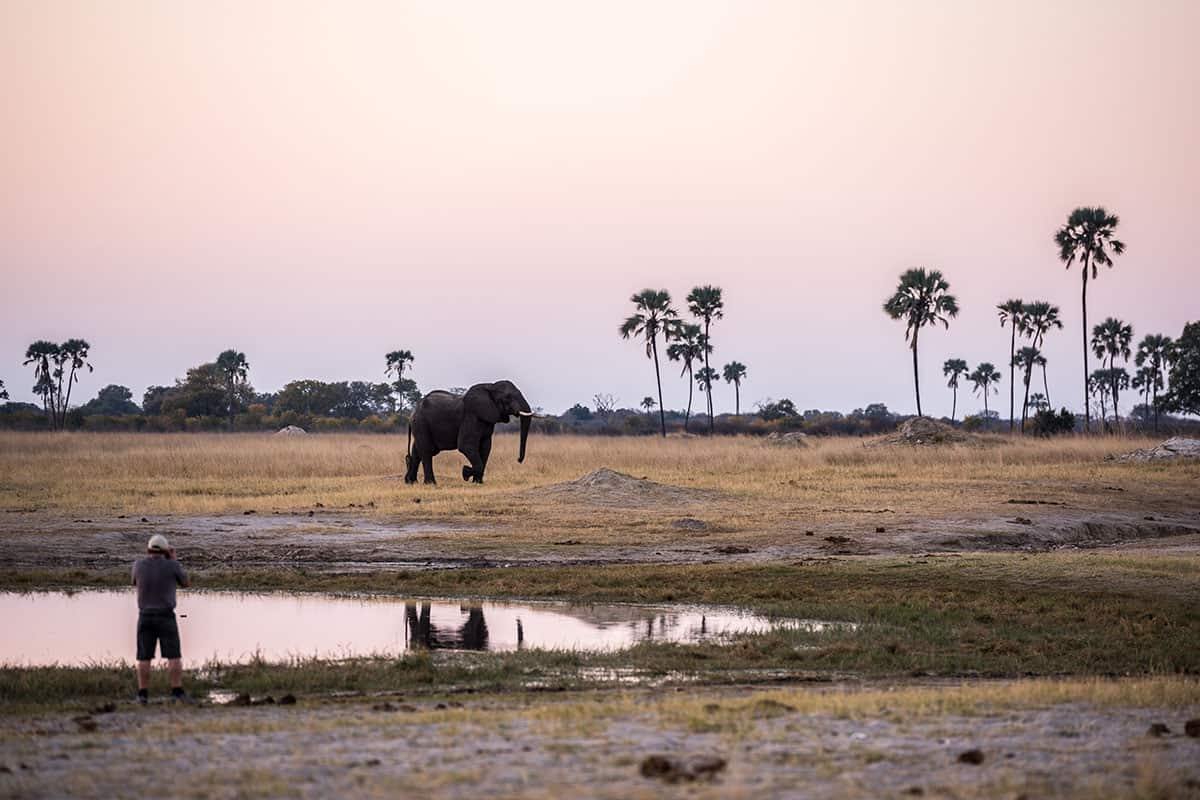 The Hide en Hwange