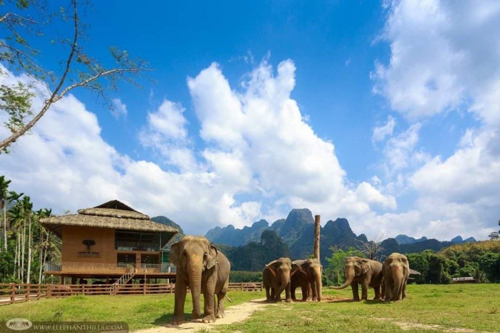 Elephant Hills  en Khao Sok