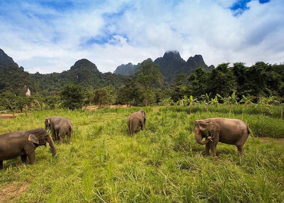 Elephant Hills  en Khao Sok