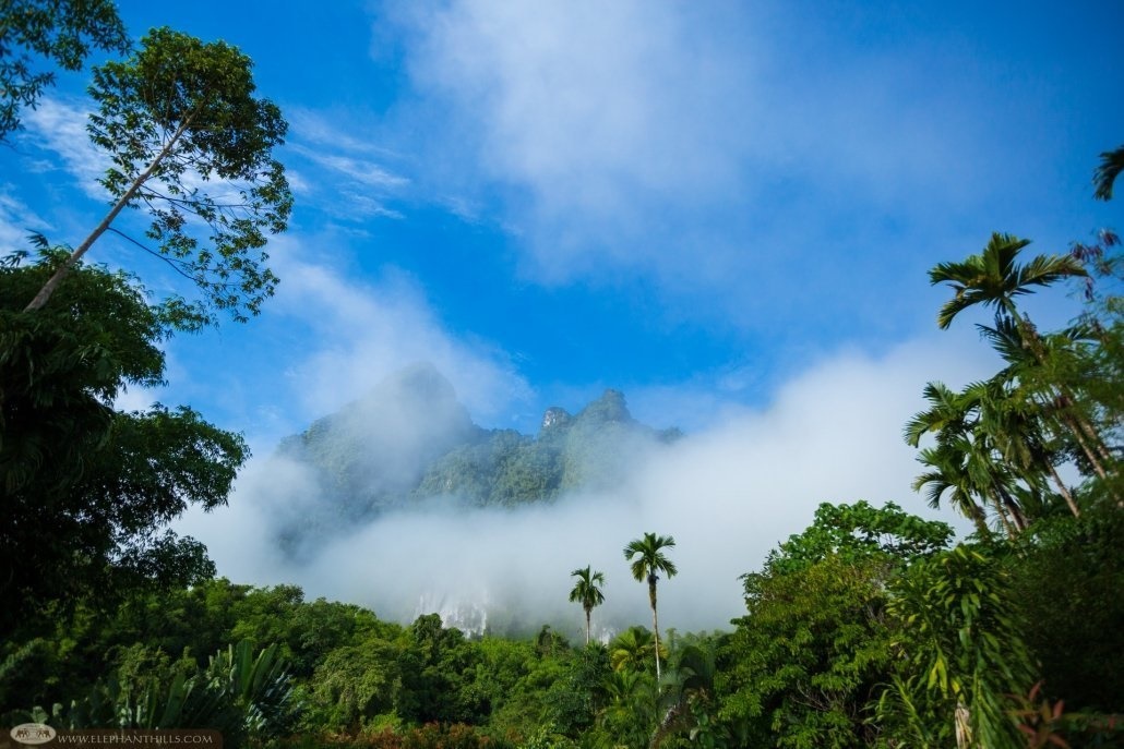 Elephant Hills  en Khao Sok