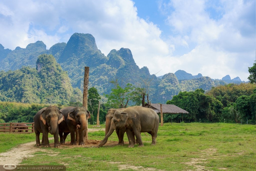 Elephant Hills  en Khao Sok