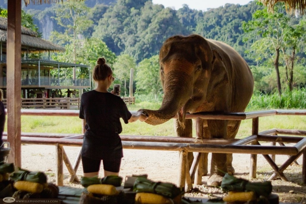 Elephant Hills  en Khao Sok