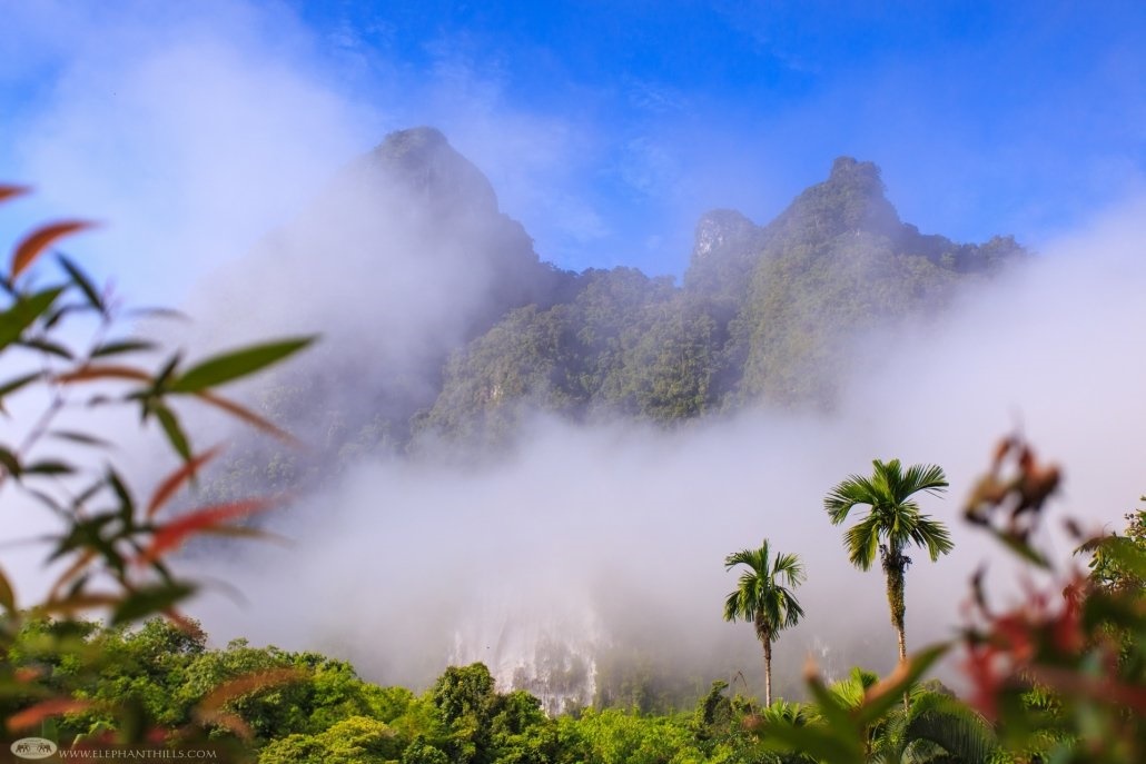 Elephant Hills  en Khao Sok