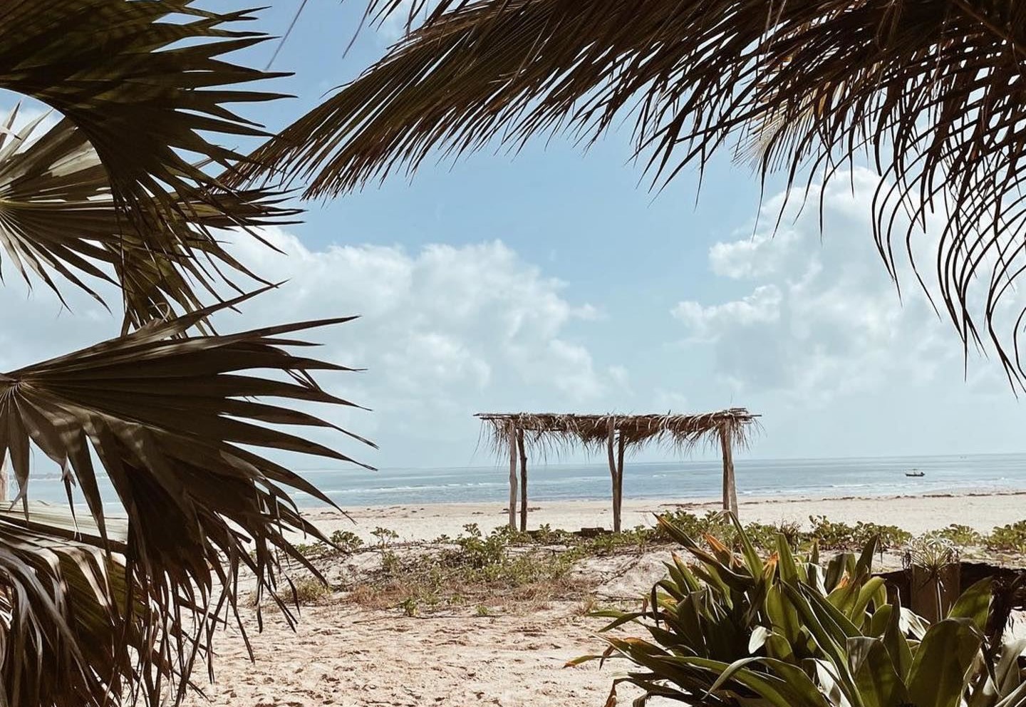 Che Sale en Kenia