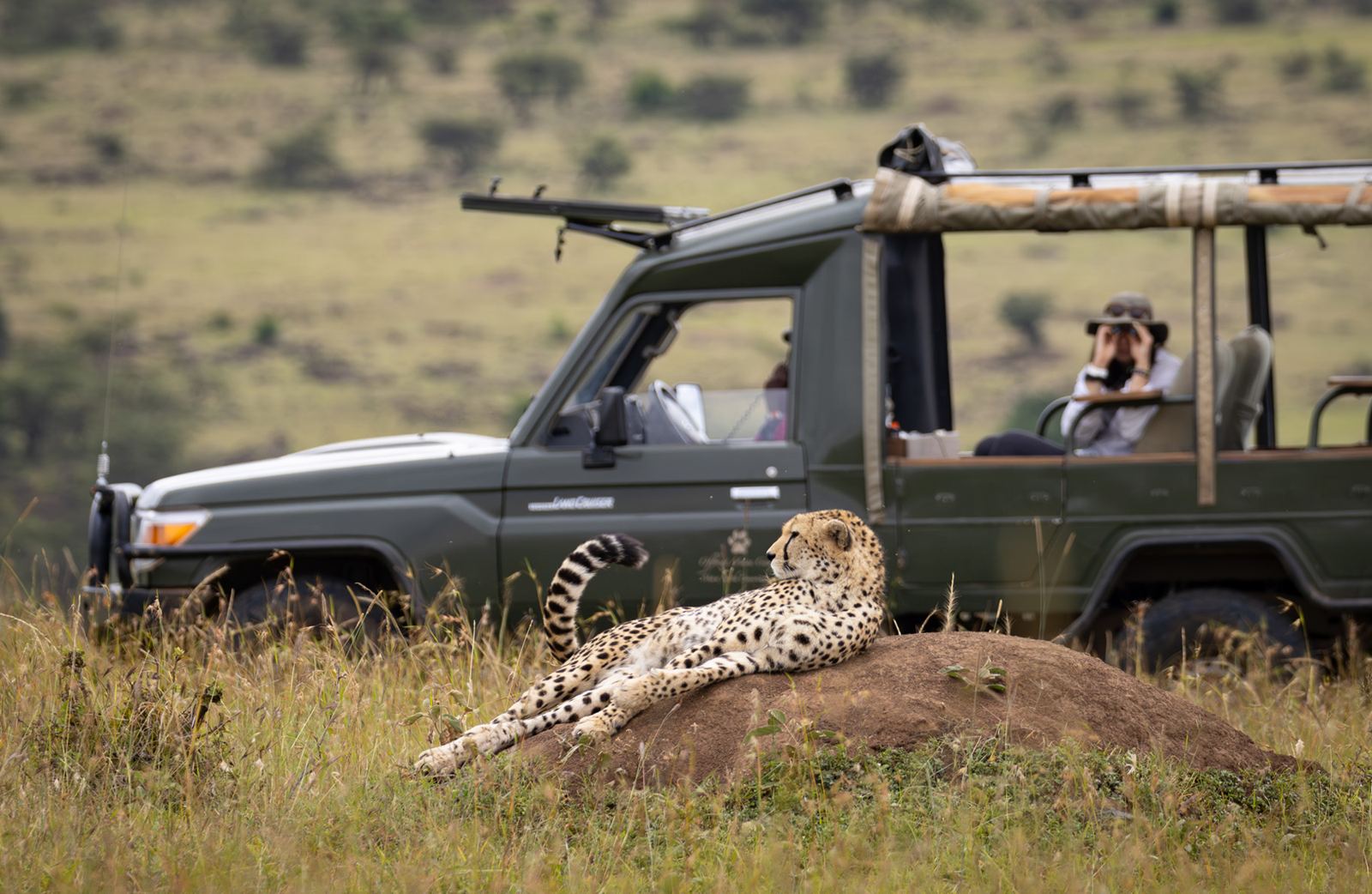 Offbeat Ndoto Camp en Masai Mara