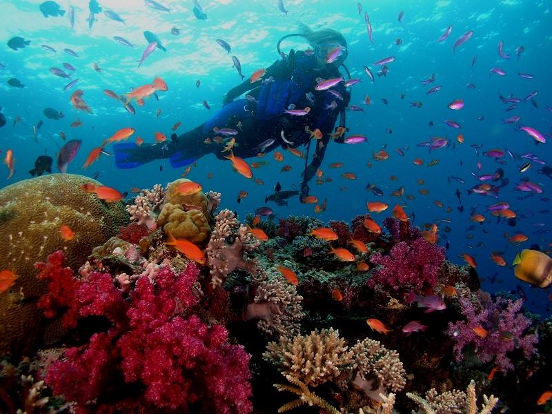 Tioman