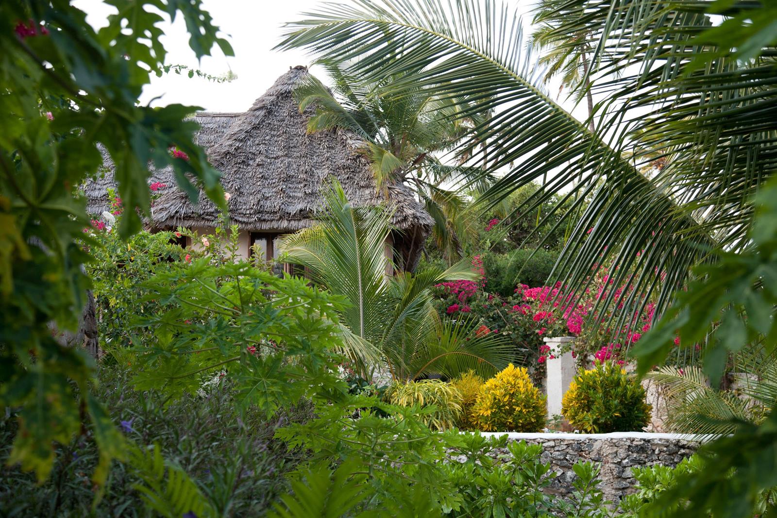 Imagen de viaje Viajes Latitud40