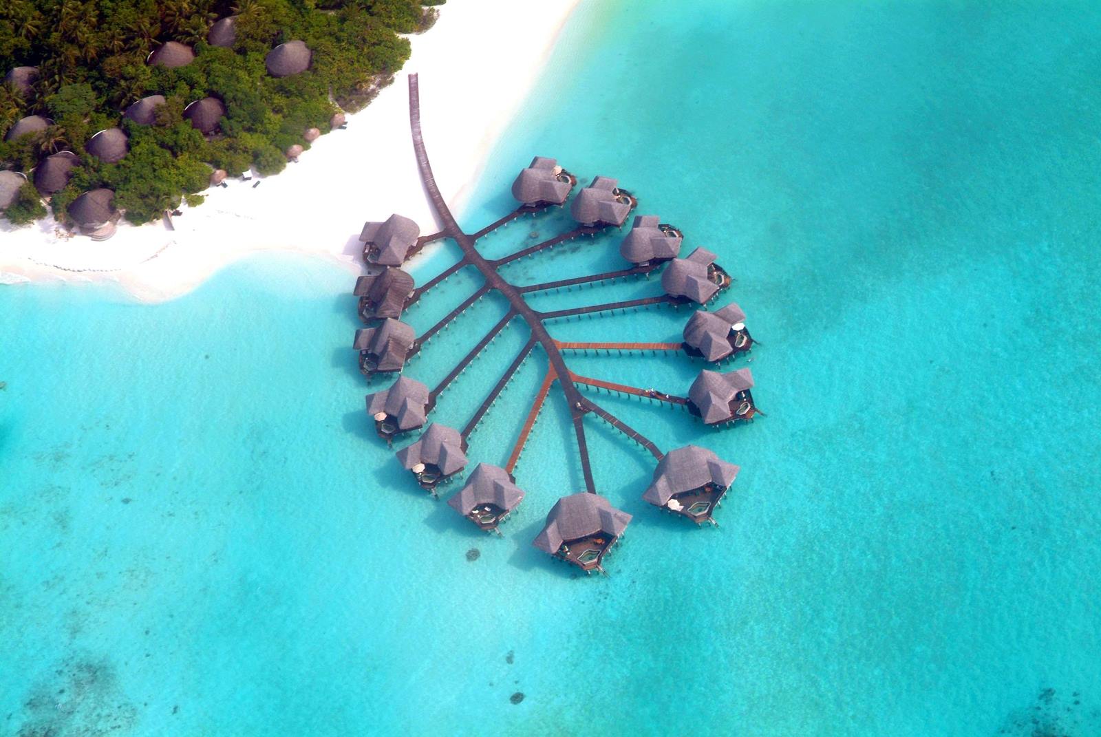 Coco Palm Dhuni Kolhu en Baa Atoll