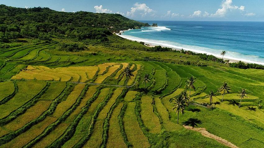 Sumba Island | LAT.40