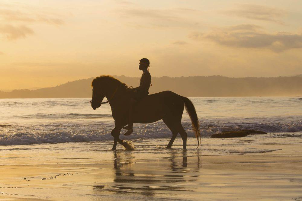 Sumba Island | LAT.40