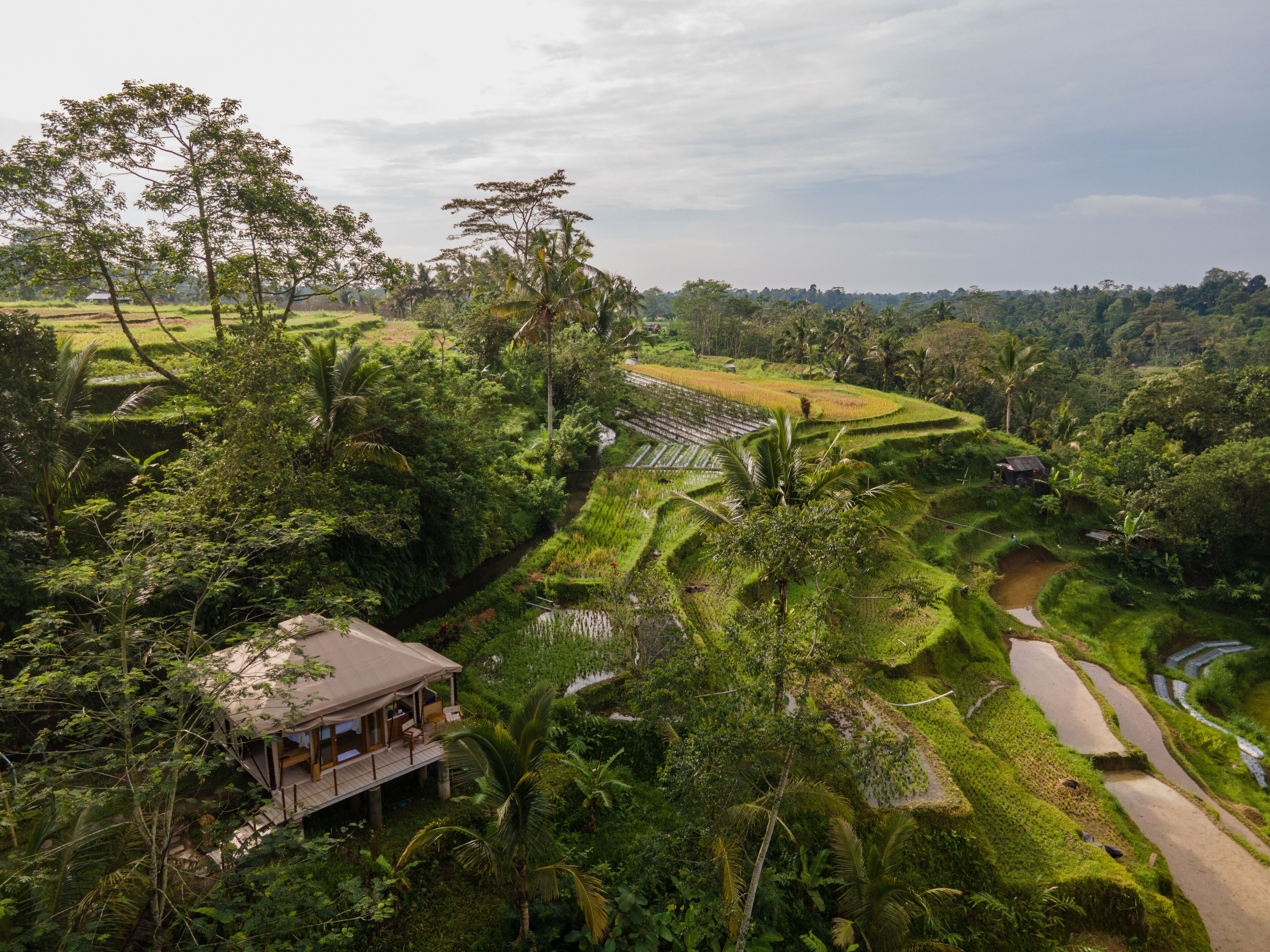 Nadi Nature Resort en Ubud