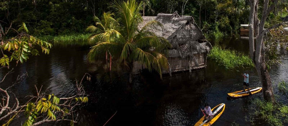 Delfin Cruises en Iquitos