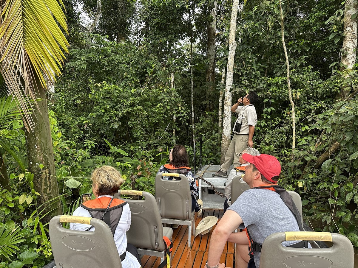 Delfin Cruises en Iquitos