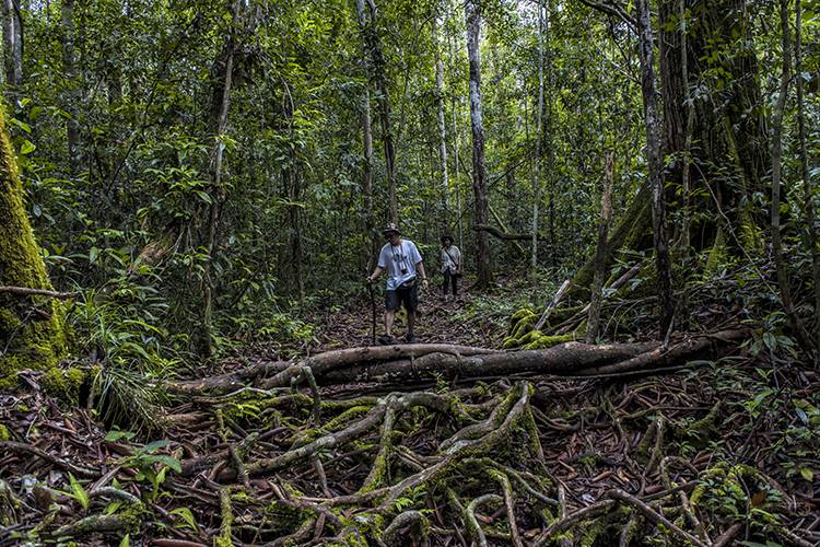 Barco Privado Boutique en Borneo