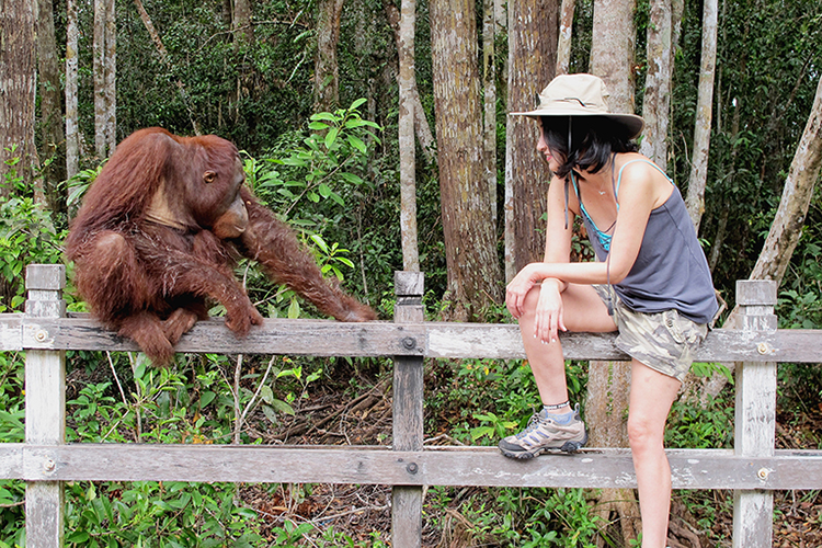 Barco Privado Boutique en Borneo