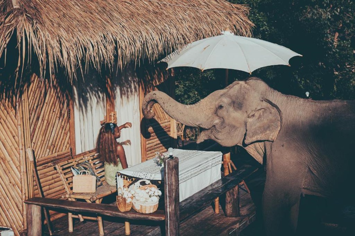 Imagen de viaje Viajes Latitud40
