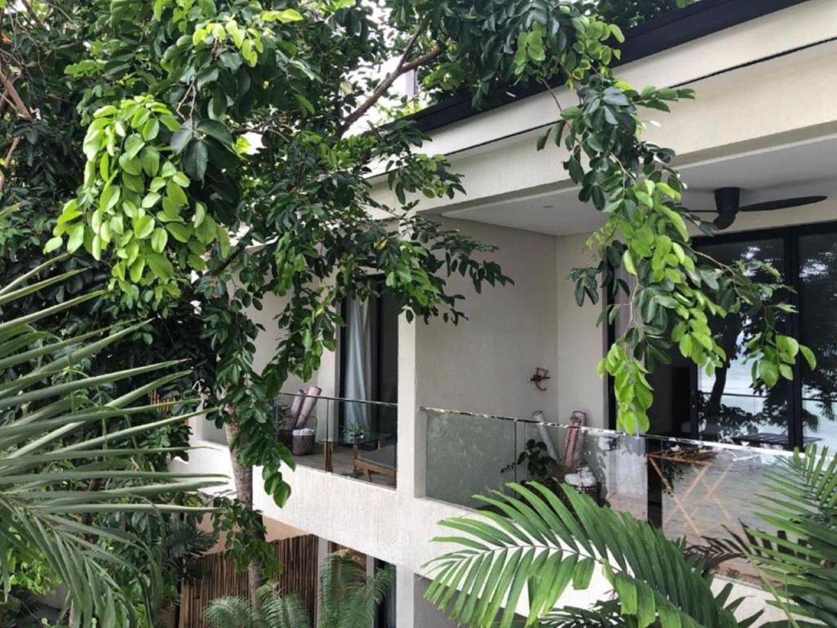 Frangipani El Nido en El Nido