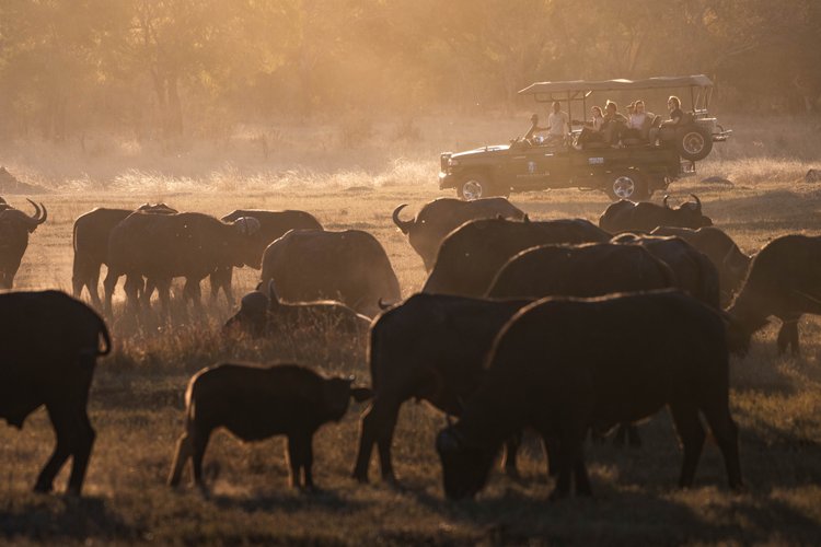 Hwange