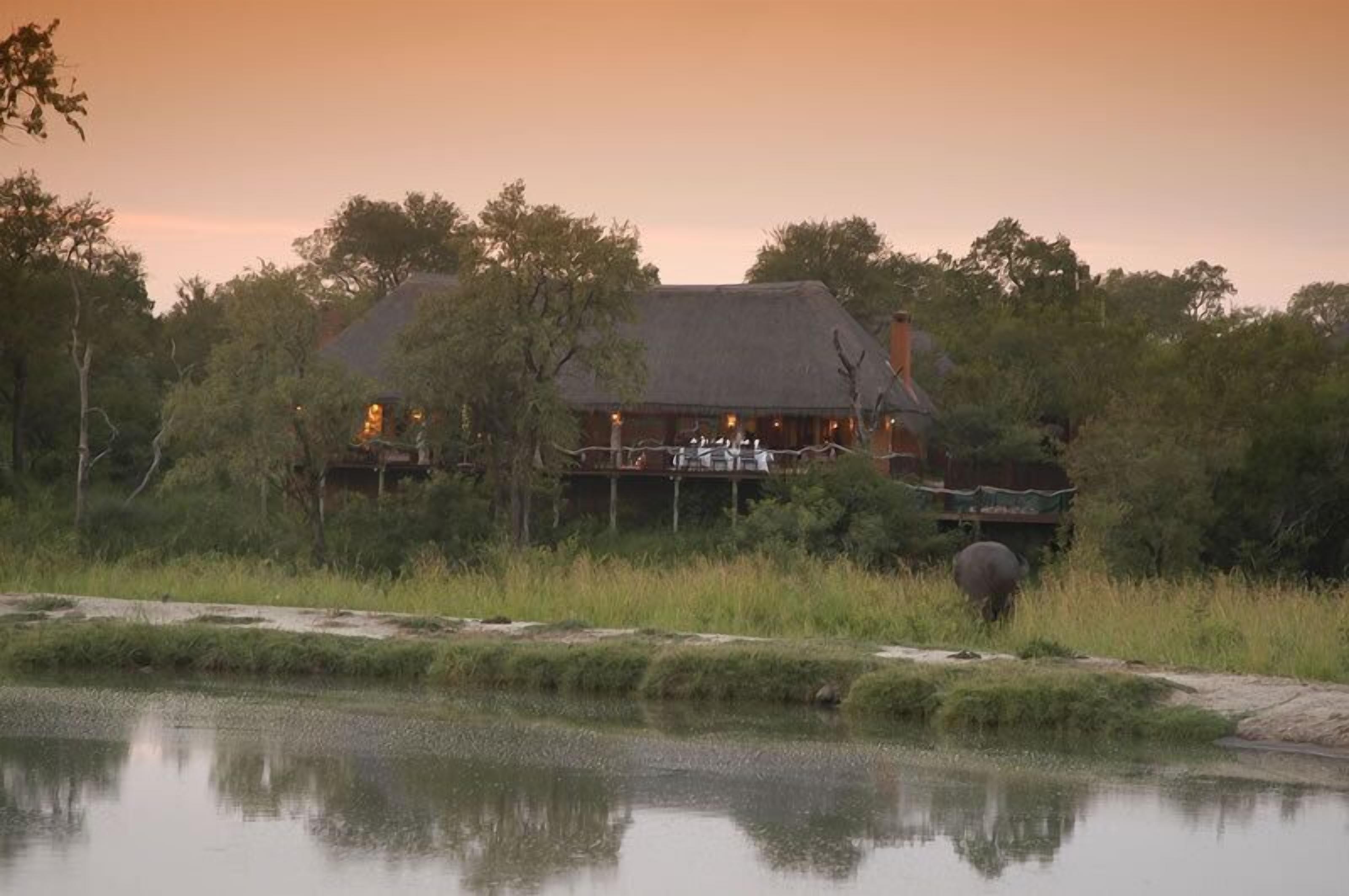Kruger - Sabi Sands