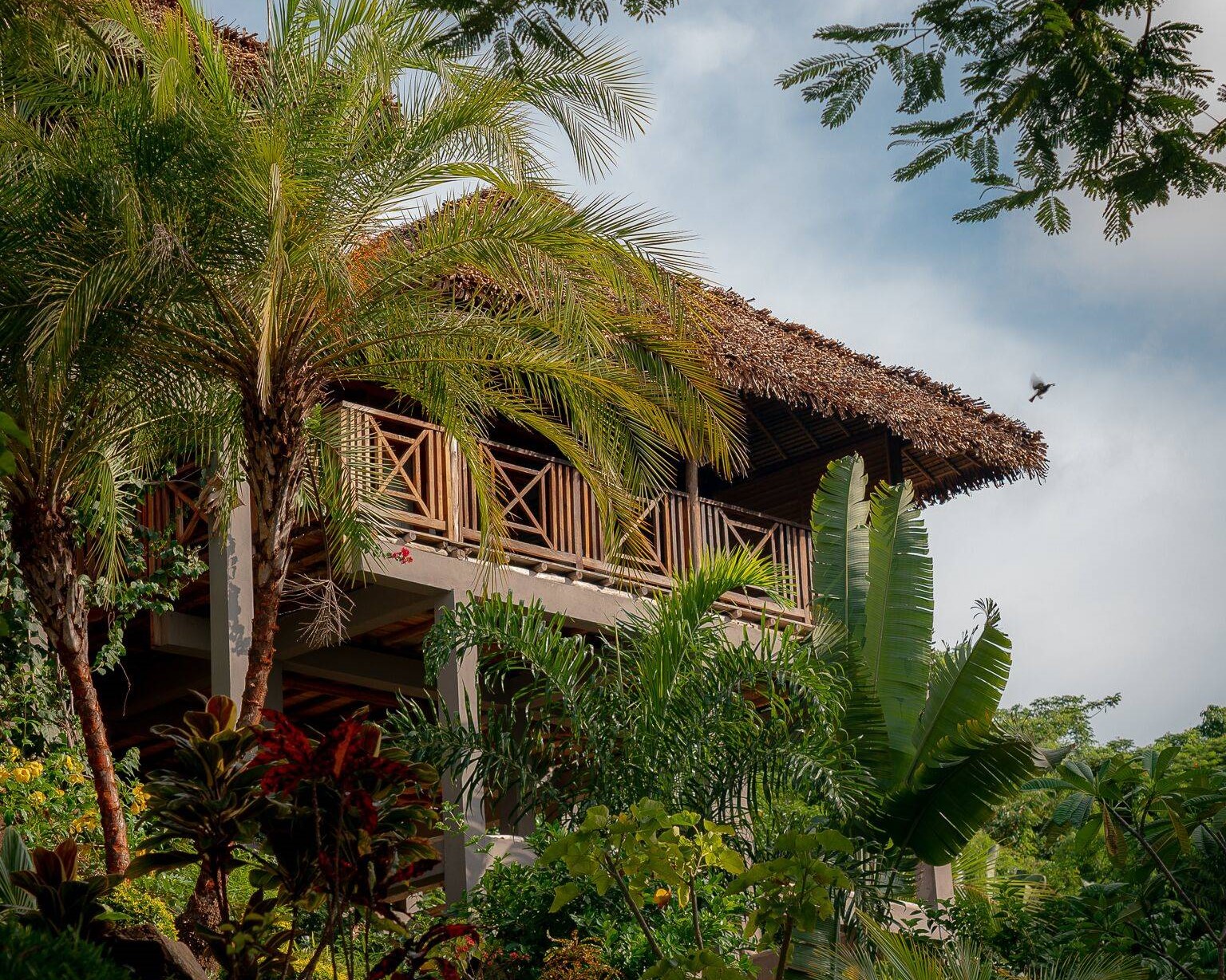 Diana Lodge Ankify en Ankify