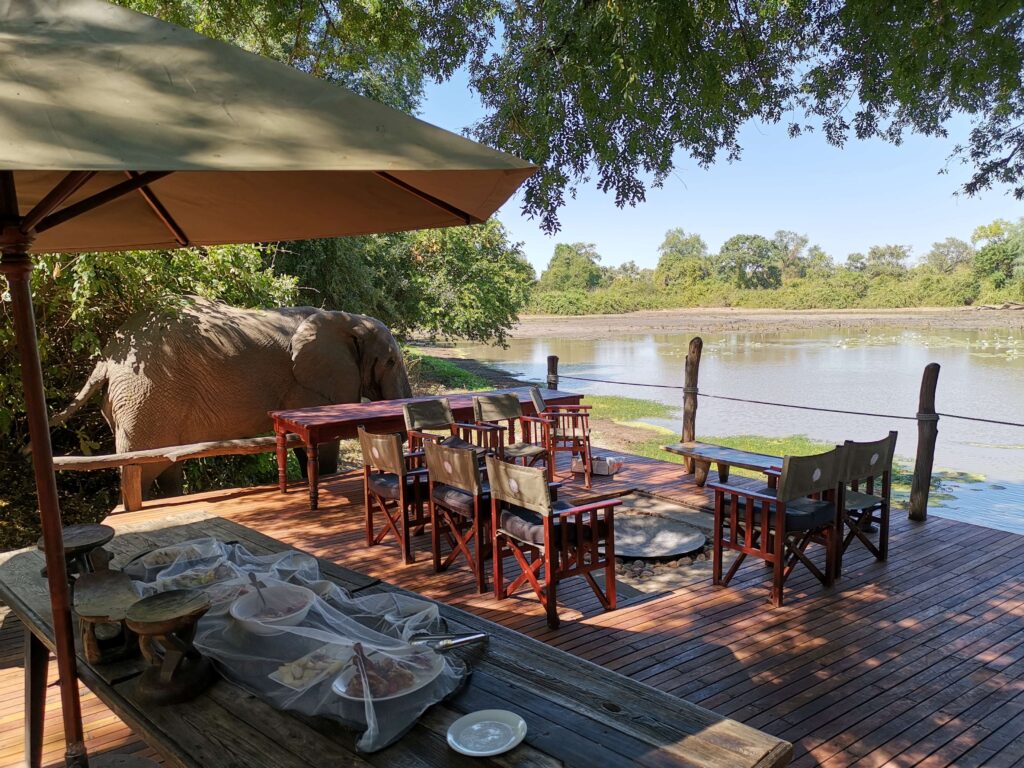 Kanga Expeditions en Mana Pools