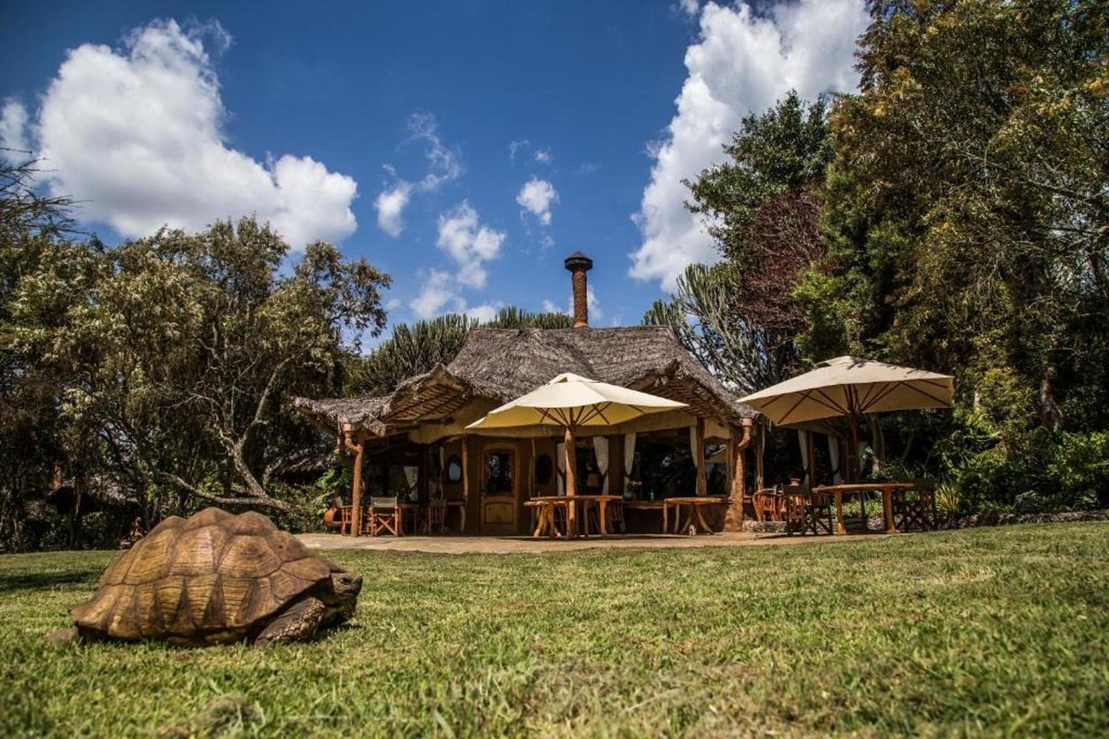 Chui Lodge  en su destino