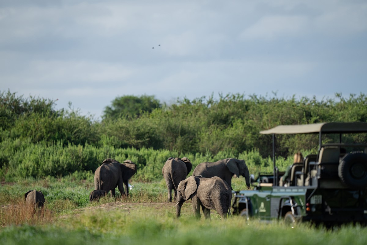 Laba Siwandu Camp en Selous Reserve