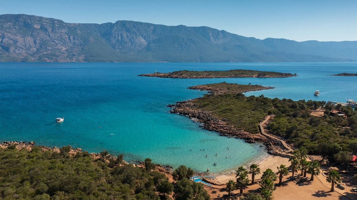 Goleta Maske 5 en Turkey