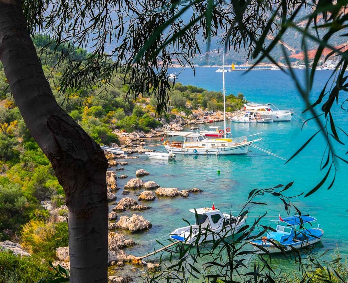 Goleta Maske 5 en Turkey