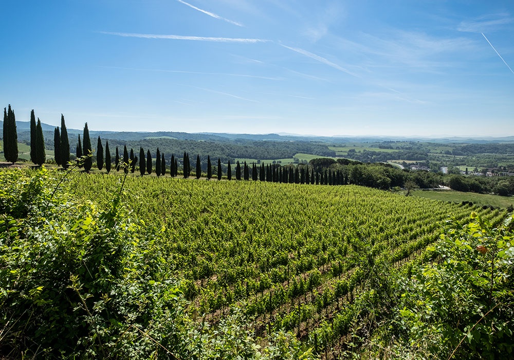 Toscana