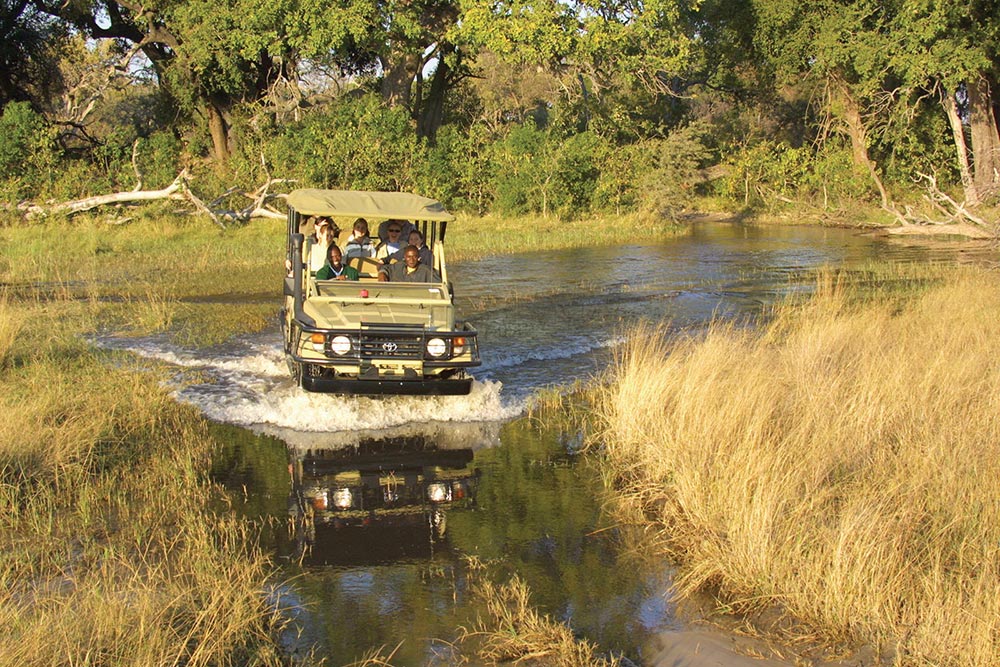 Pom Pom Private Concession en Delta Okavango