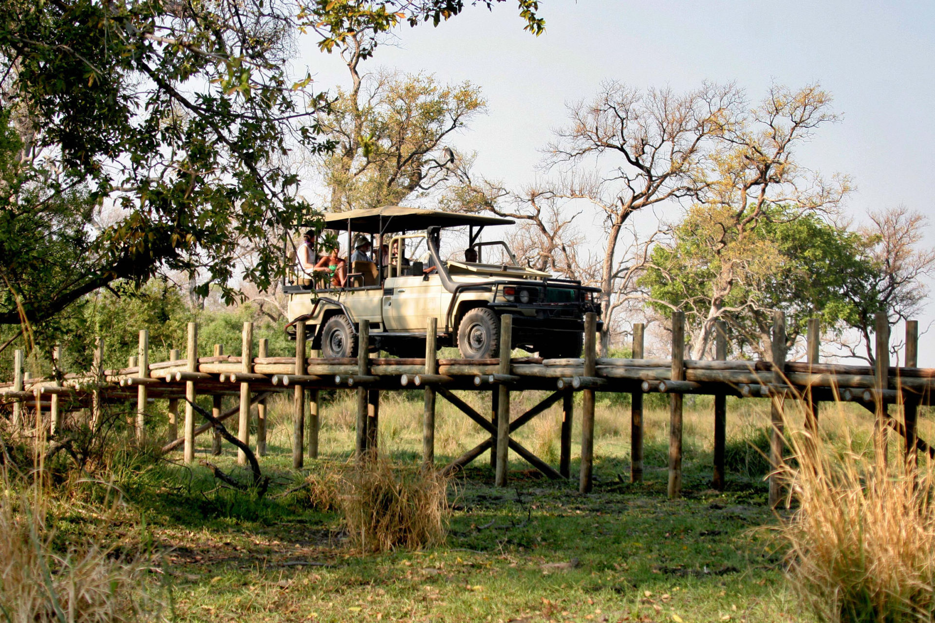 Pom Pom Private Concession en Delta Okavango