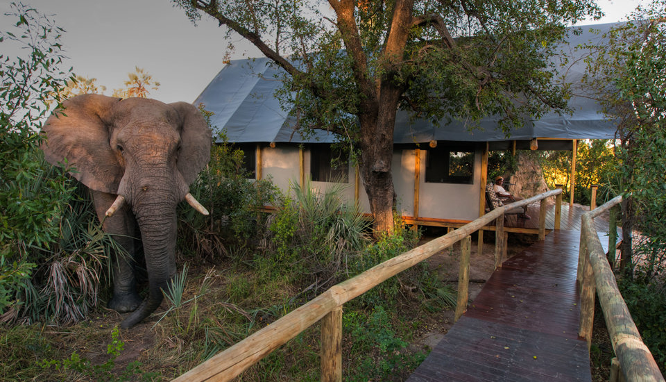 Pom Pom Private Concession en Delta Okavango