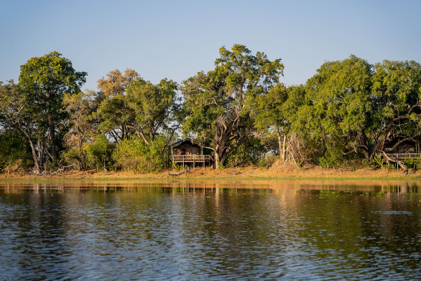 Pom Pom Private Concession en Delta Okavango