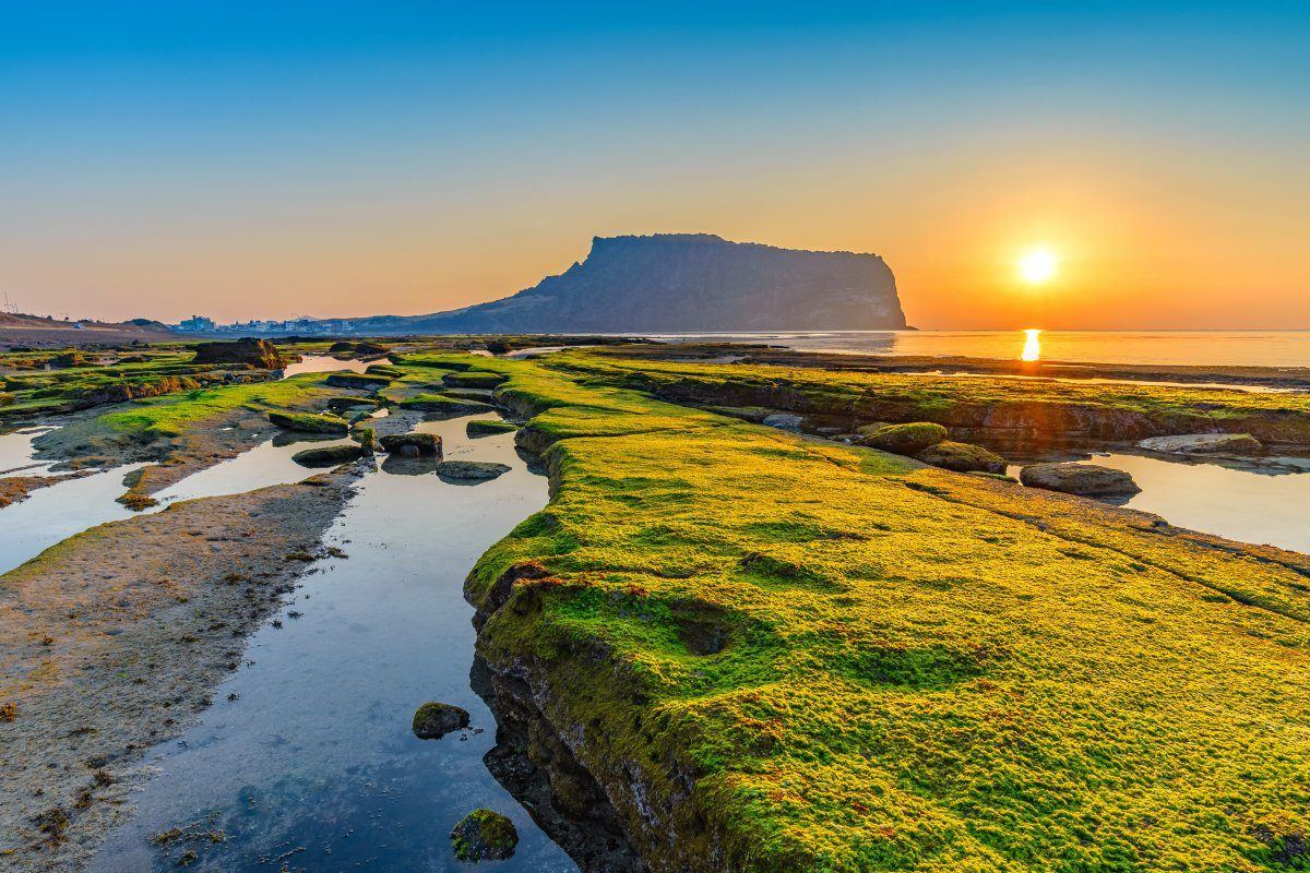 Jeju | LAT.40