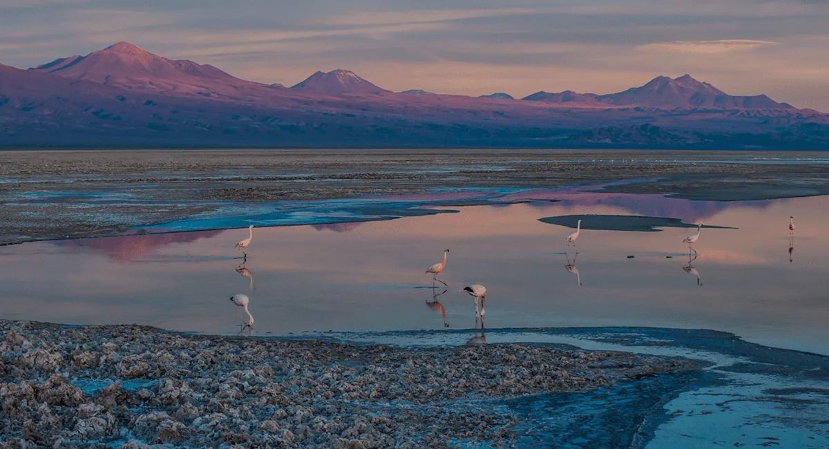 Nayara Alto Atacama en Desierto de Atacama