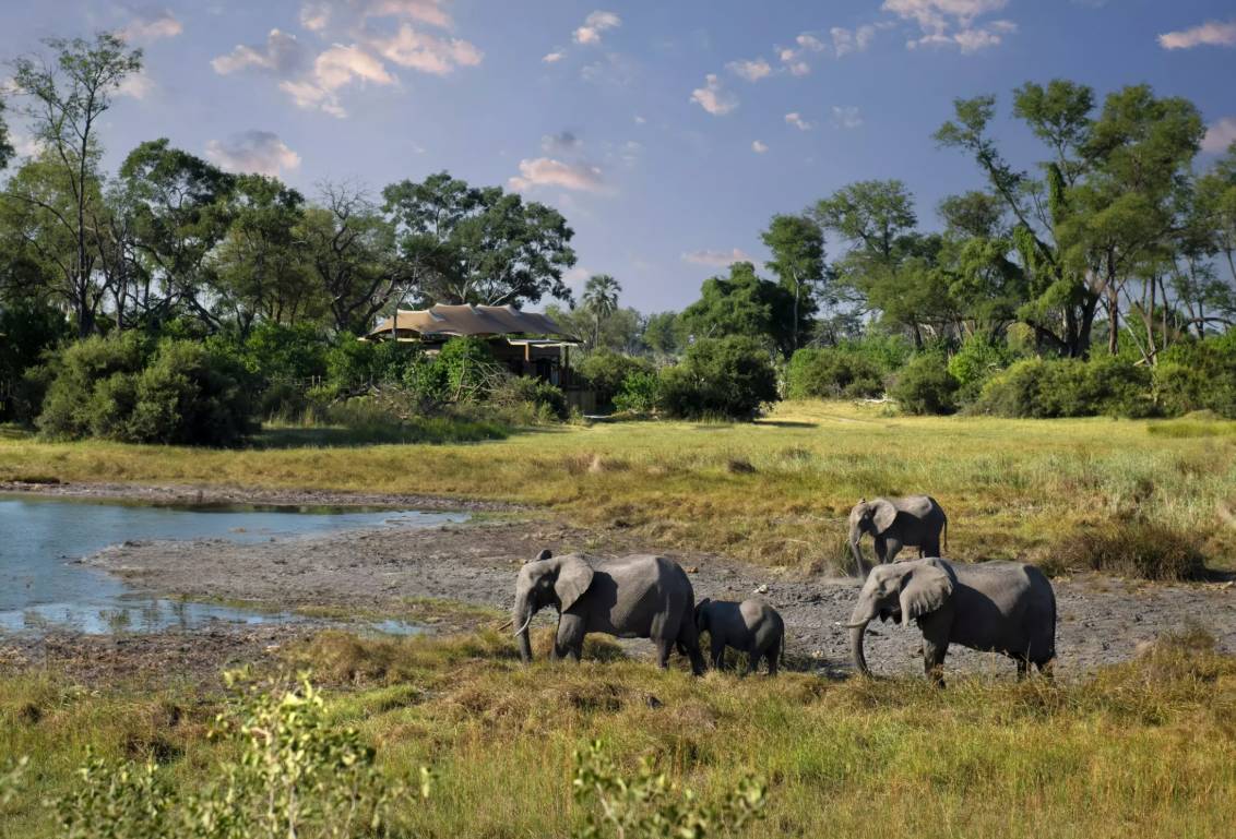 Luna de miel Ciudad del Cabo, Botswana, Victoria Falls, Hwange y Bawah diseñado por LAT.40