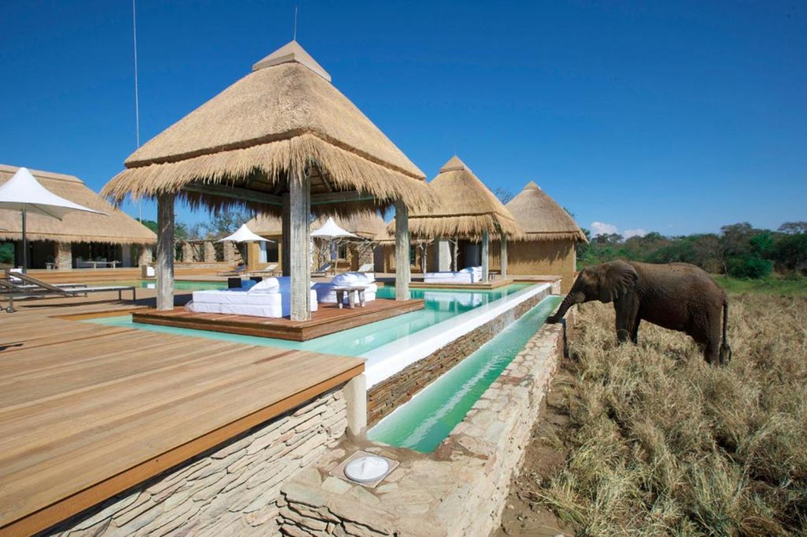 Kapama River Lodge en South Africa