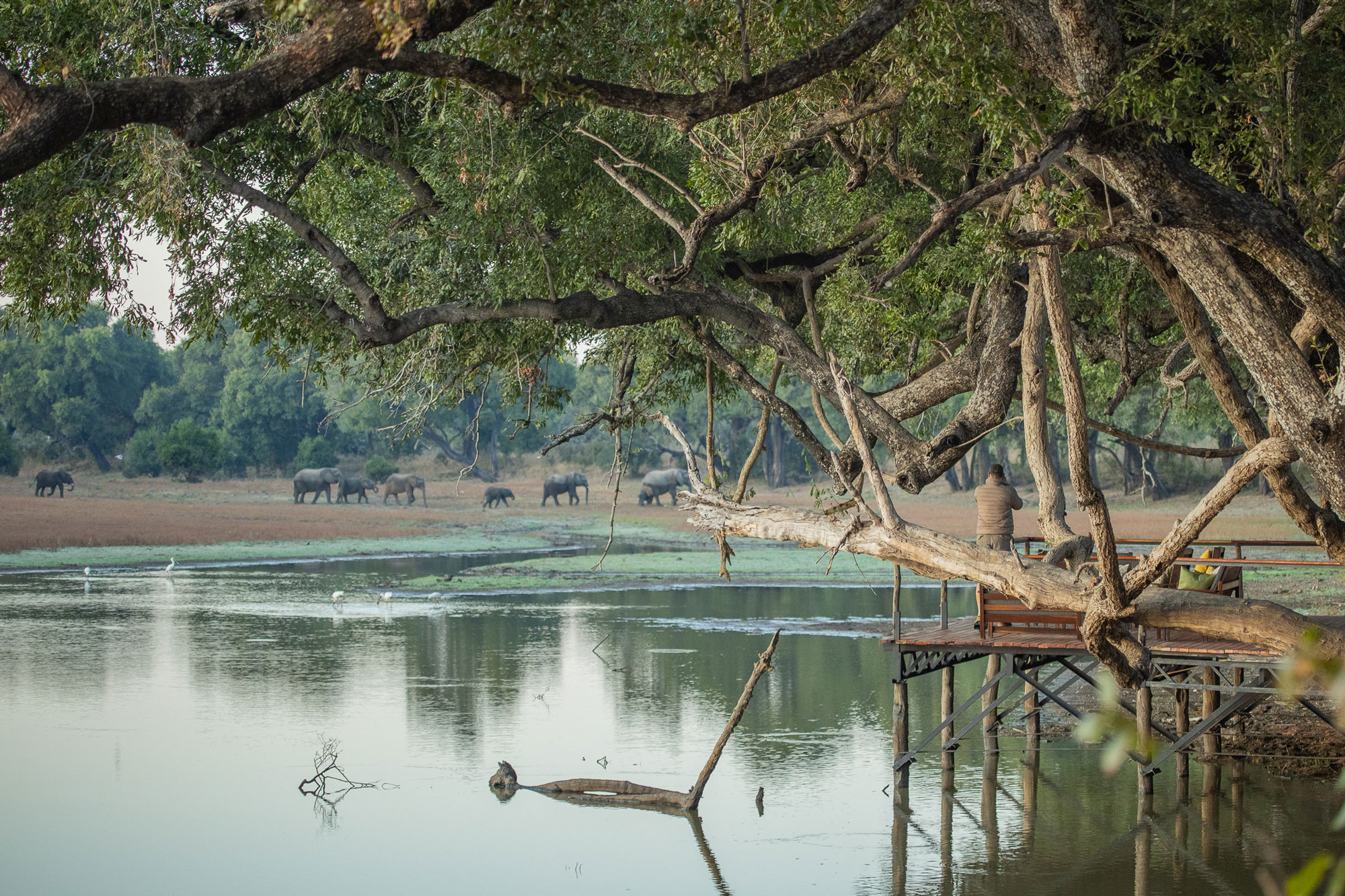 Big Lagoon Camp en Luangwa Valley