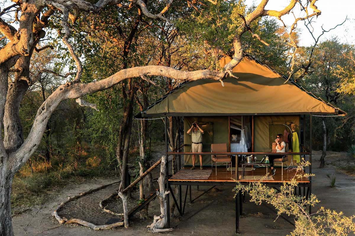 Bomani Tented Lodge en Hwange