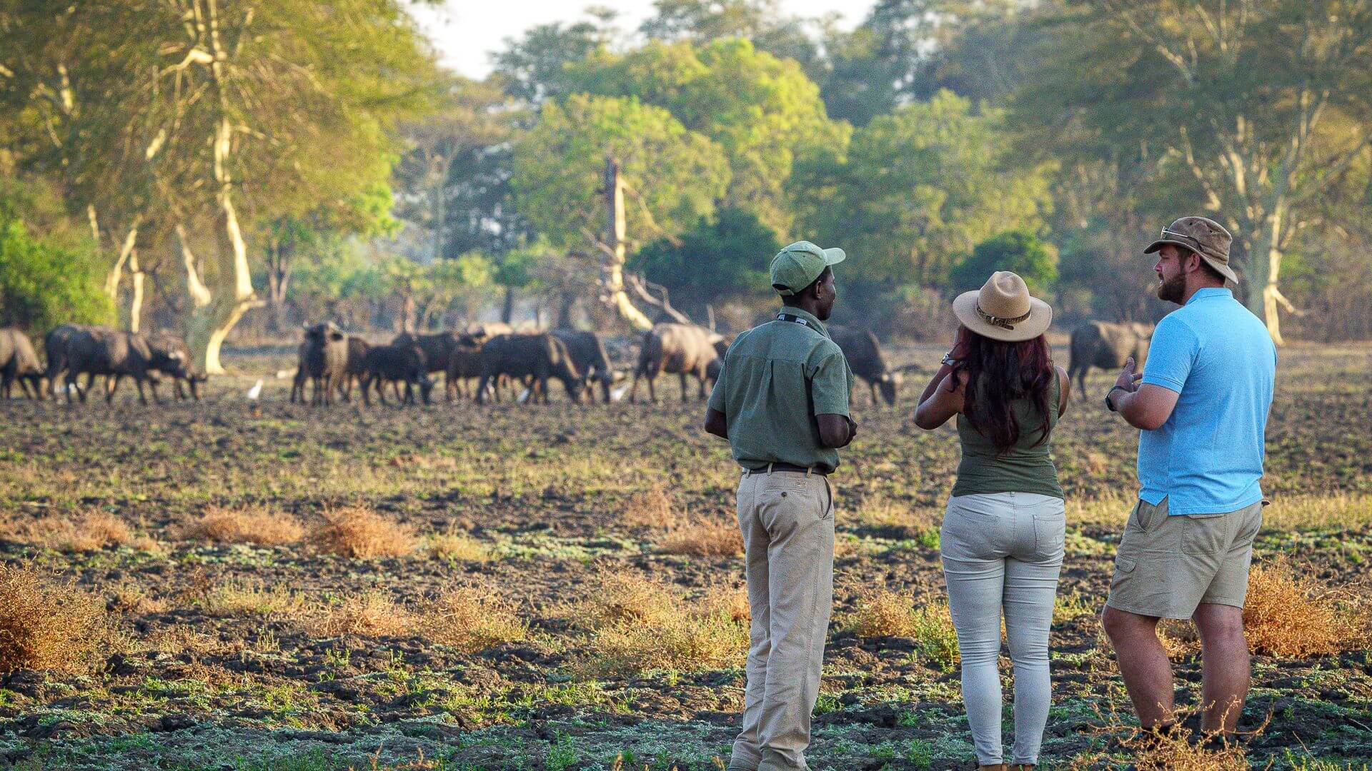 Huntingdon House en Satemwa Tea Estate