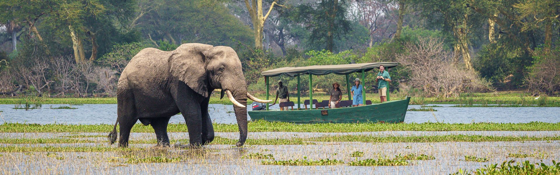 Kuthengo Camp en Parque Nacional de Liwonde