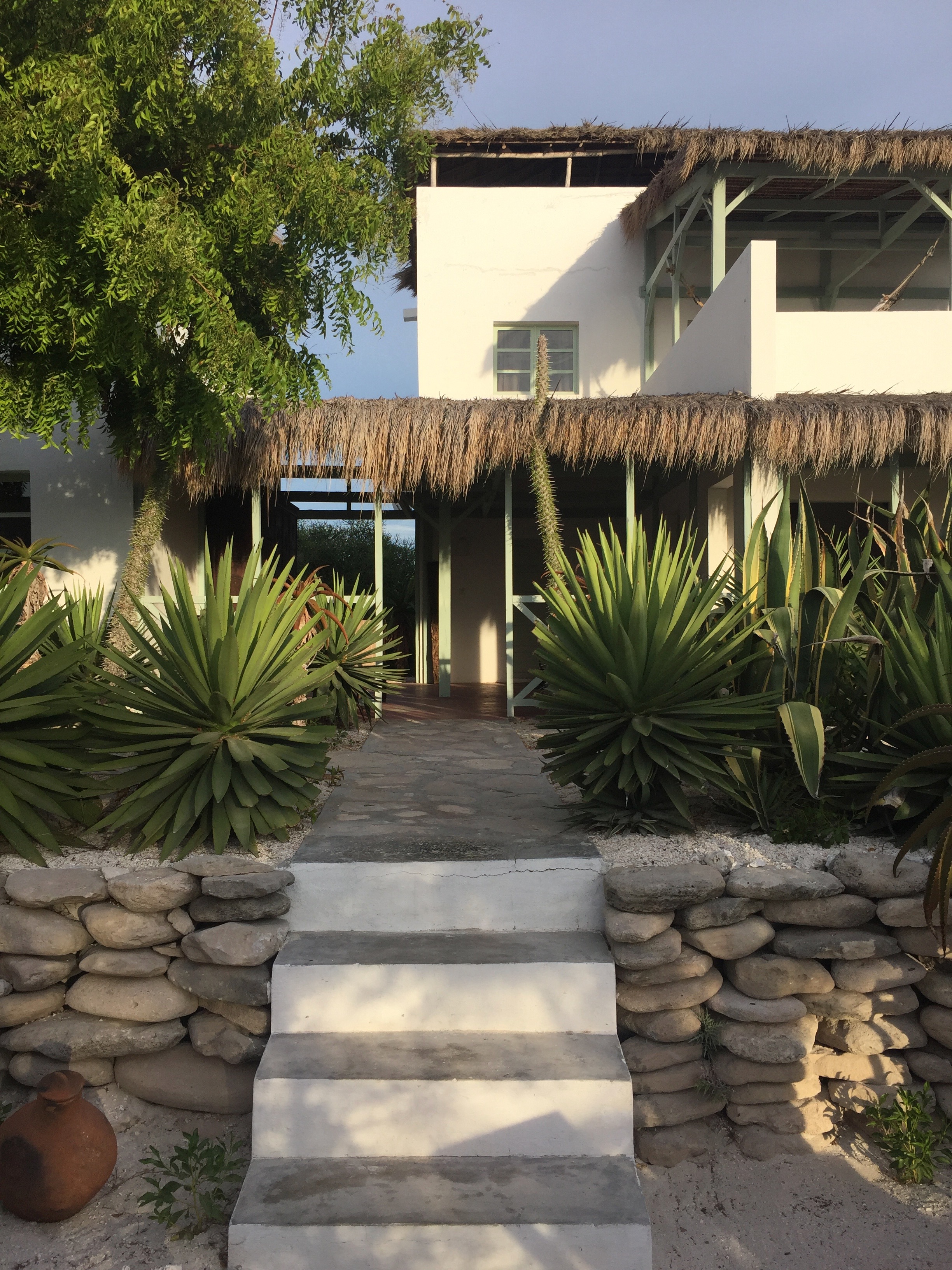 Le Domaine d'Ambola | LAT.40